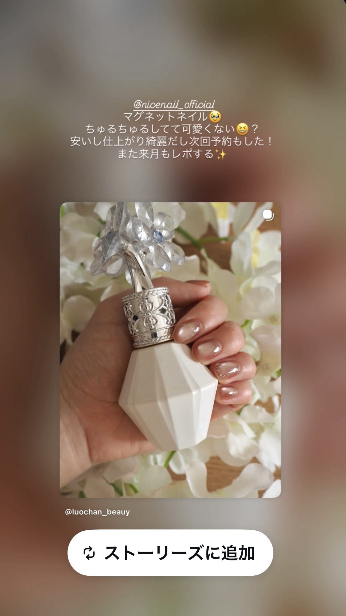 NICENAILのお客様施術 肌馴染み大人マグネット