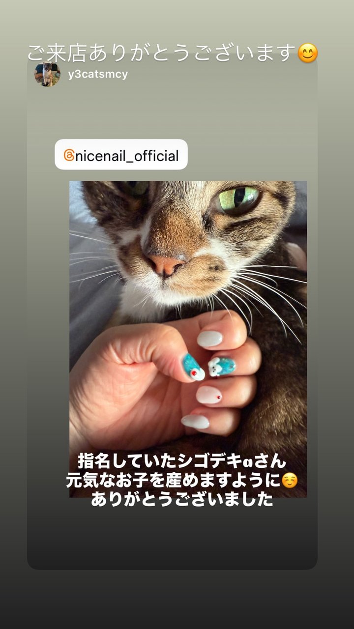 NICENAIL 近鉄ぷらっと布施店 布施駅 ネイルデザイン 作品4